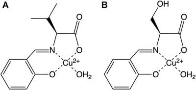 Improvement of the SOD activity of the Cu2+ complexes by hybridization with lysozyme and its hydrogen bond effect on the activity enhancement